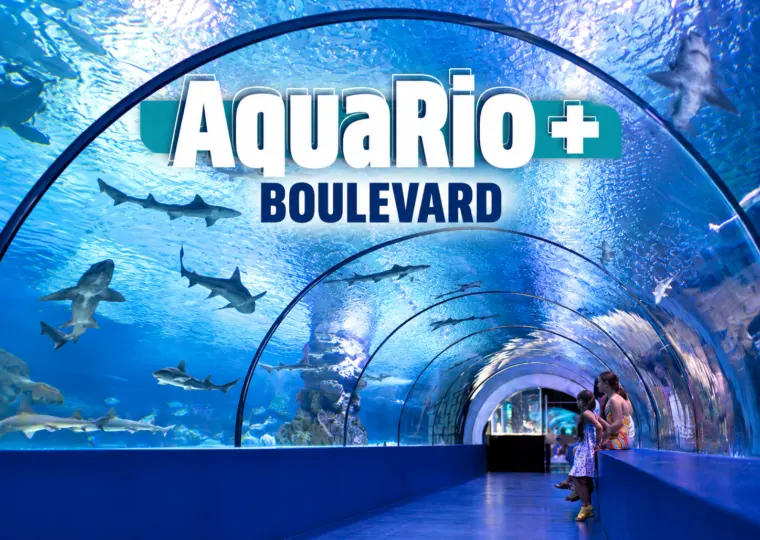 AquaRio + Boulevard