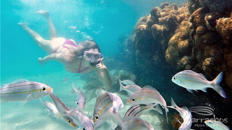 Tour Maracajaú – Full Day