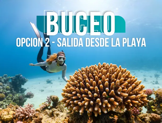 Noronha Buceo opción 2
