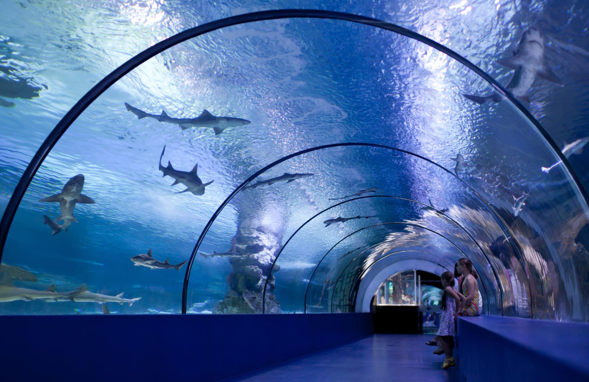 AquaRio + Boulevard
