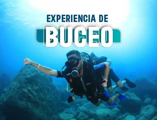 Expedicion por el Fascinante Mundo Submarino de Buzios