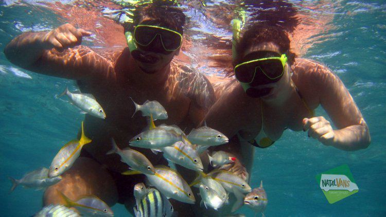 Buceo en Natal – Praia de Maracajaú