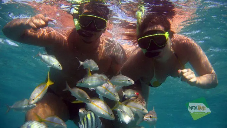 Buceo en Natal – Praia de Maracajaú
