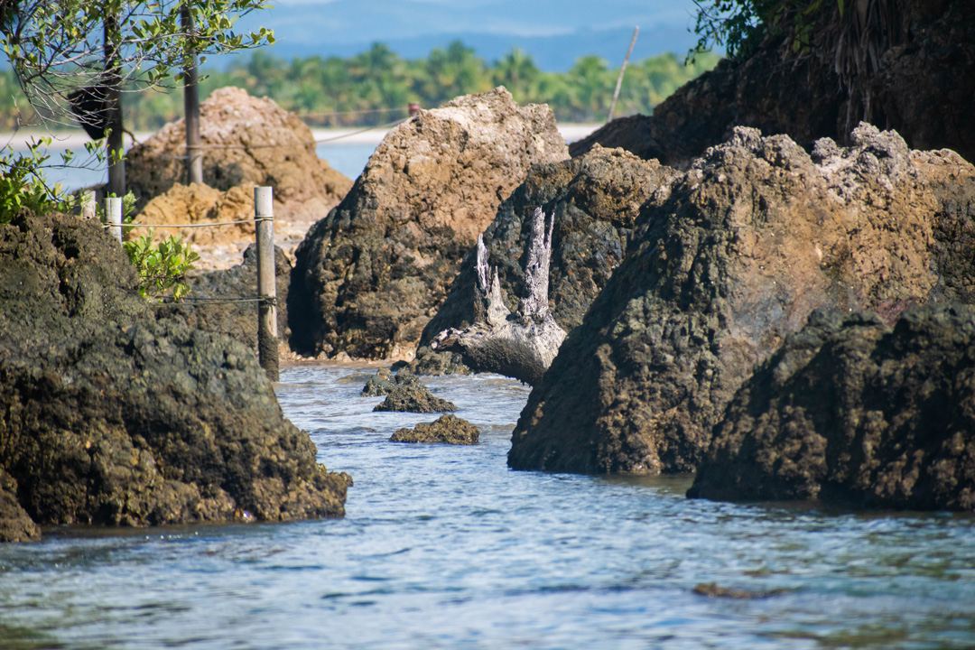 Descubre la Maravillosa Baía de Camamu