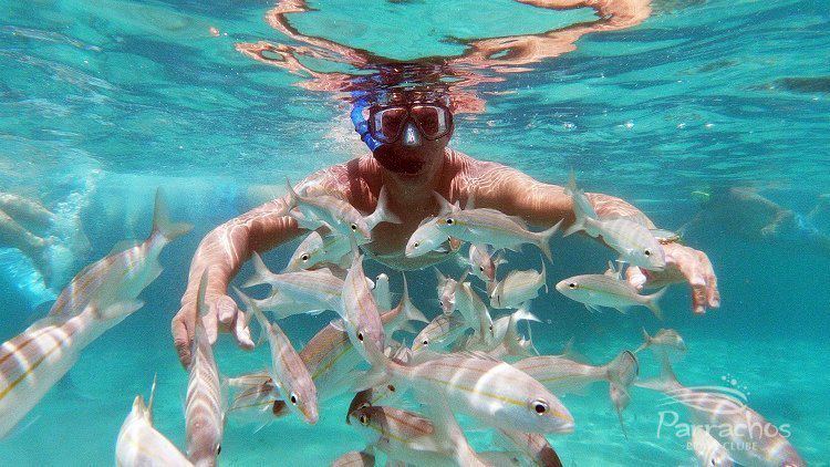 Tour Maracajaú – Full Day