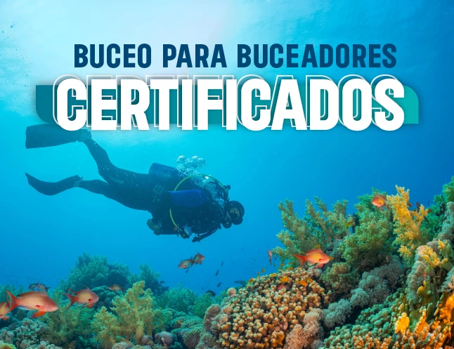 Buceo para Buceadores Certificados Ilha Grande