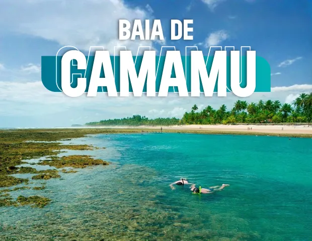 Descubre la Maravillosa Baía de Camamu