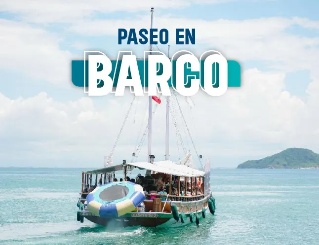 TOUR EN ESCUNA POR BUZIOS