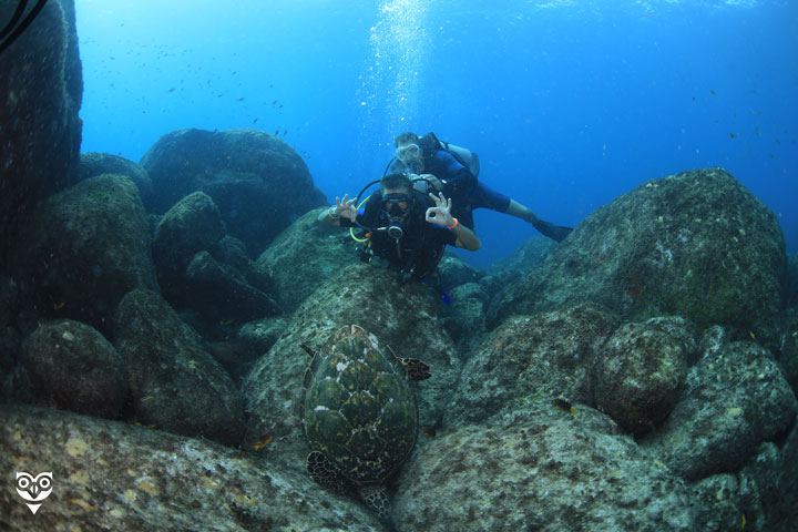 Expedicion por el Fascinante Mundo Submarino de Buzios