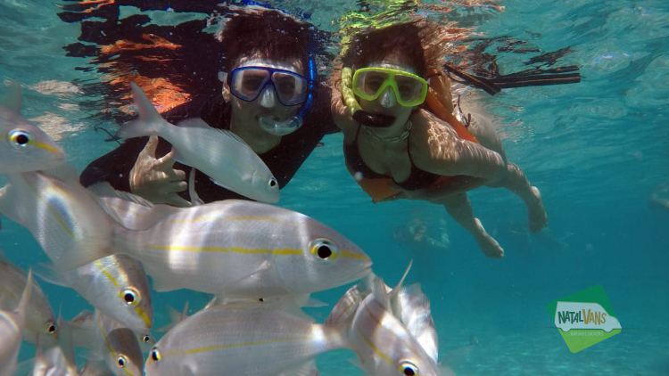 Buceo en Natal – Praia de Maracajaú