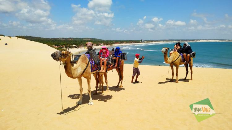 Paseo de Buggy en Natal – Litoral Norte