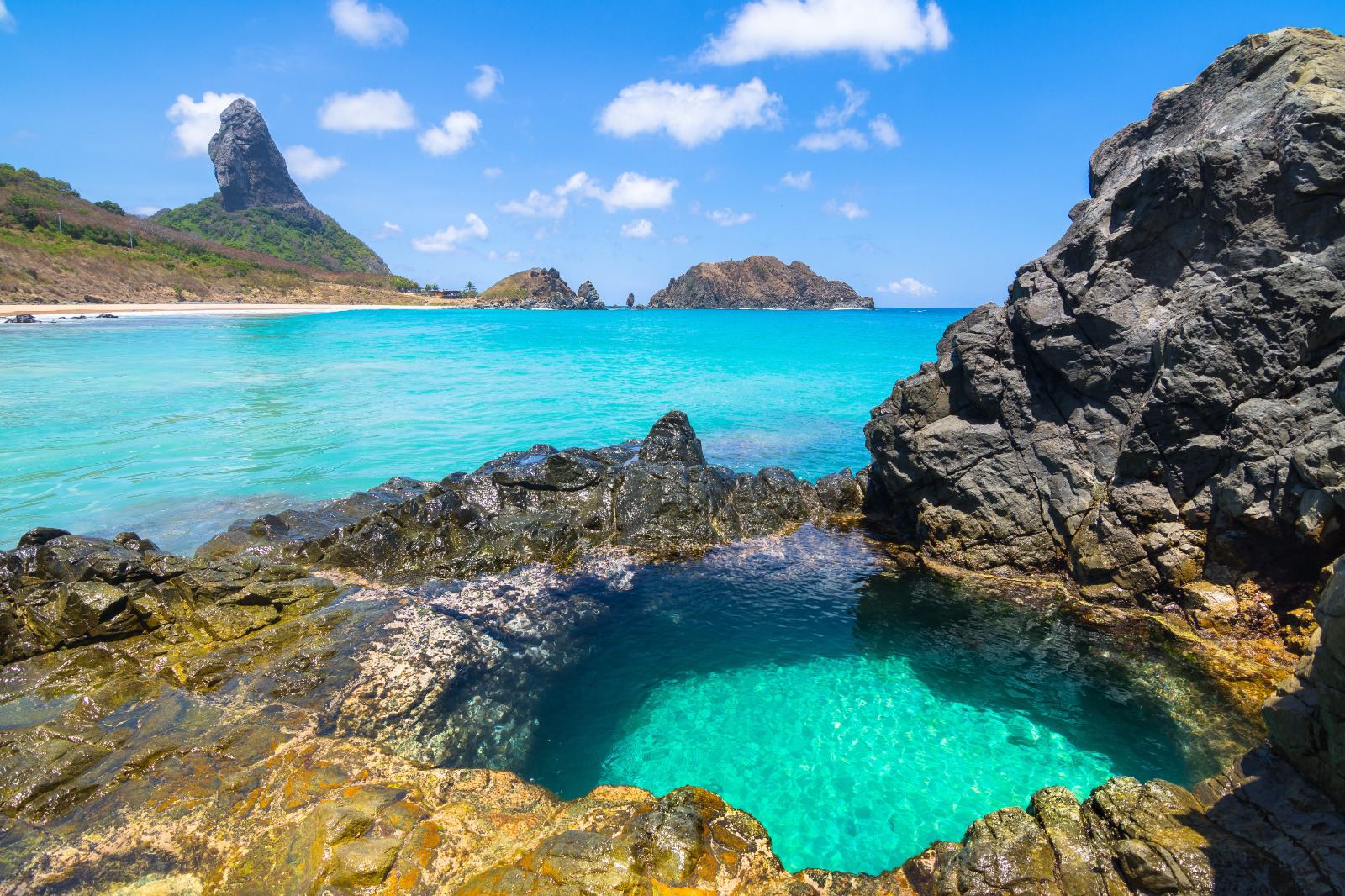 Noronha ILHA TOUR