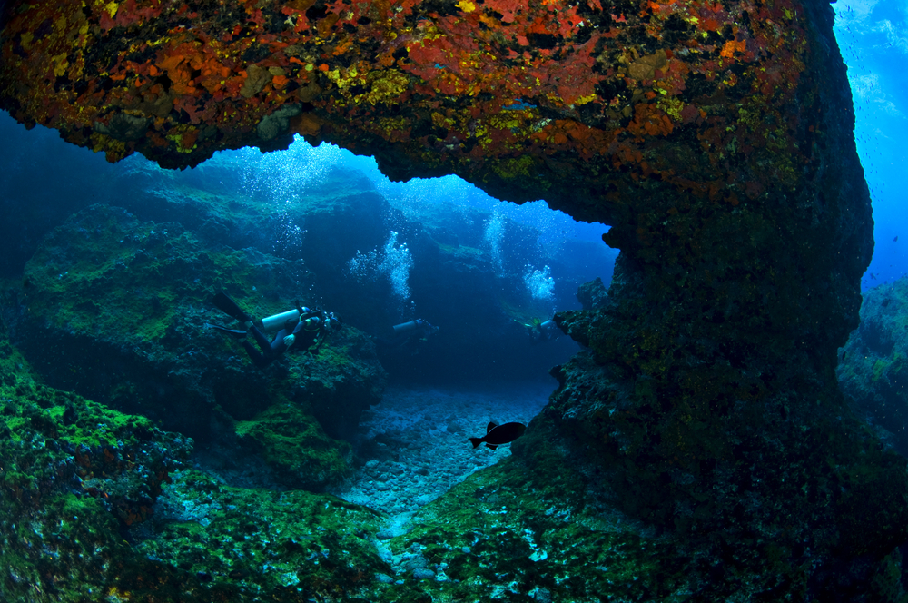 Noronha Buceo opción 2
