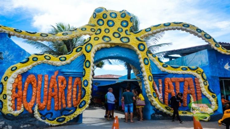 Paseo de Buggy en Natal – Litoral Norte