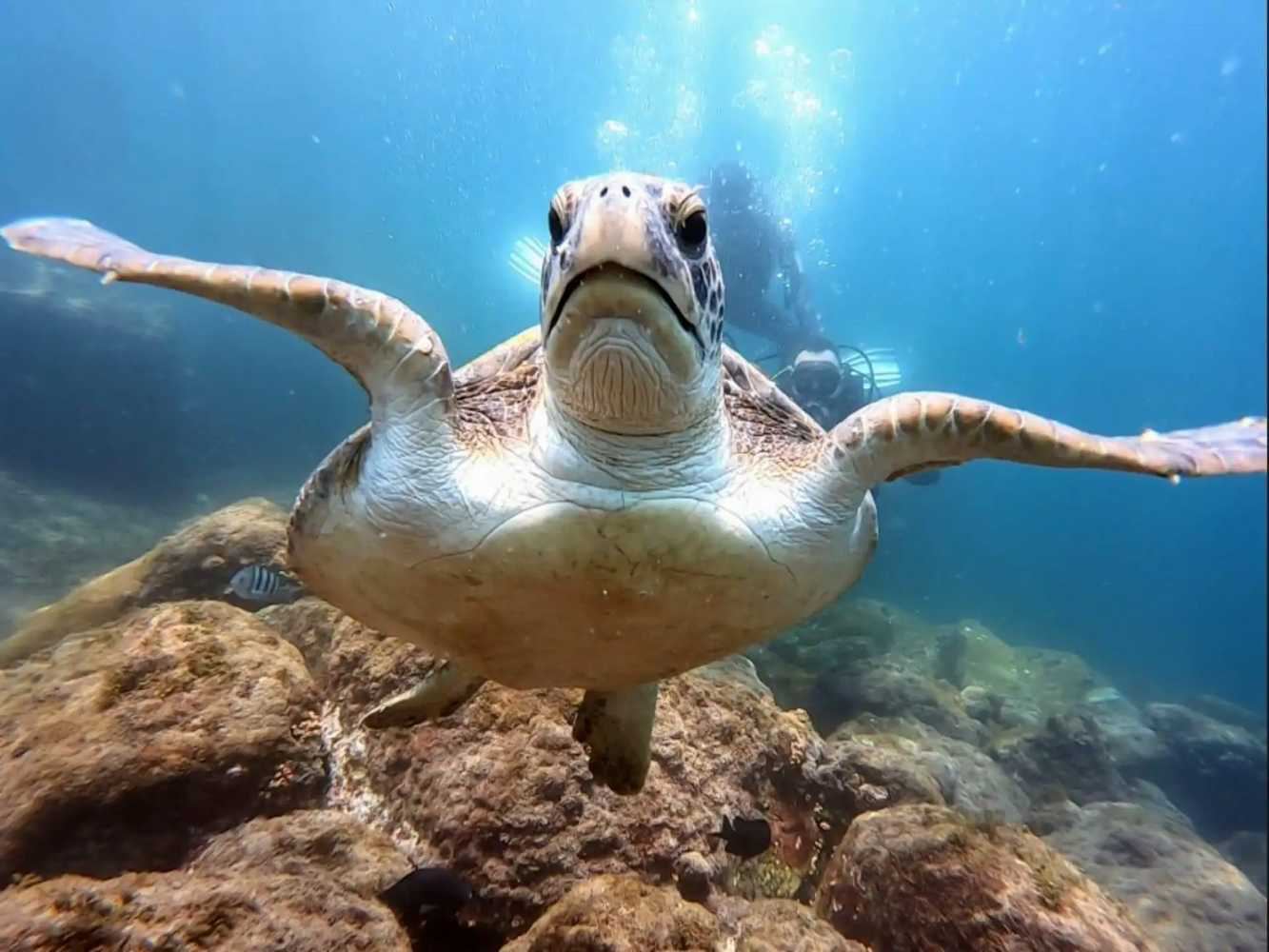Primer buceo (Bautismo)  Ilha Grande