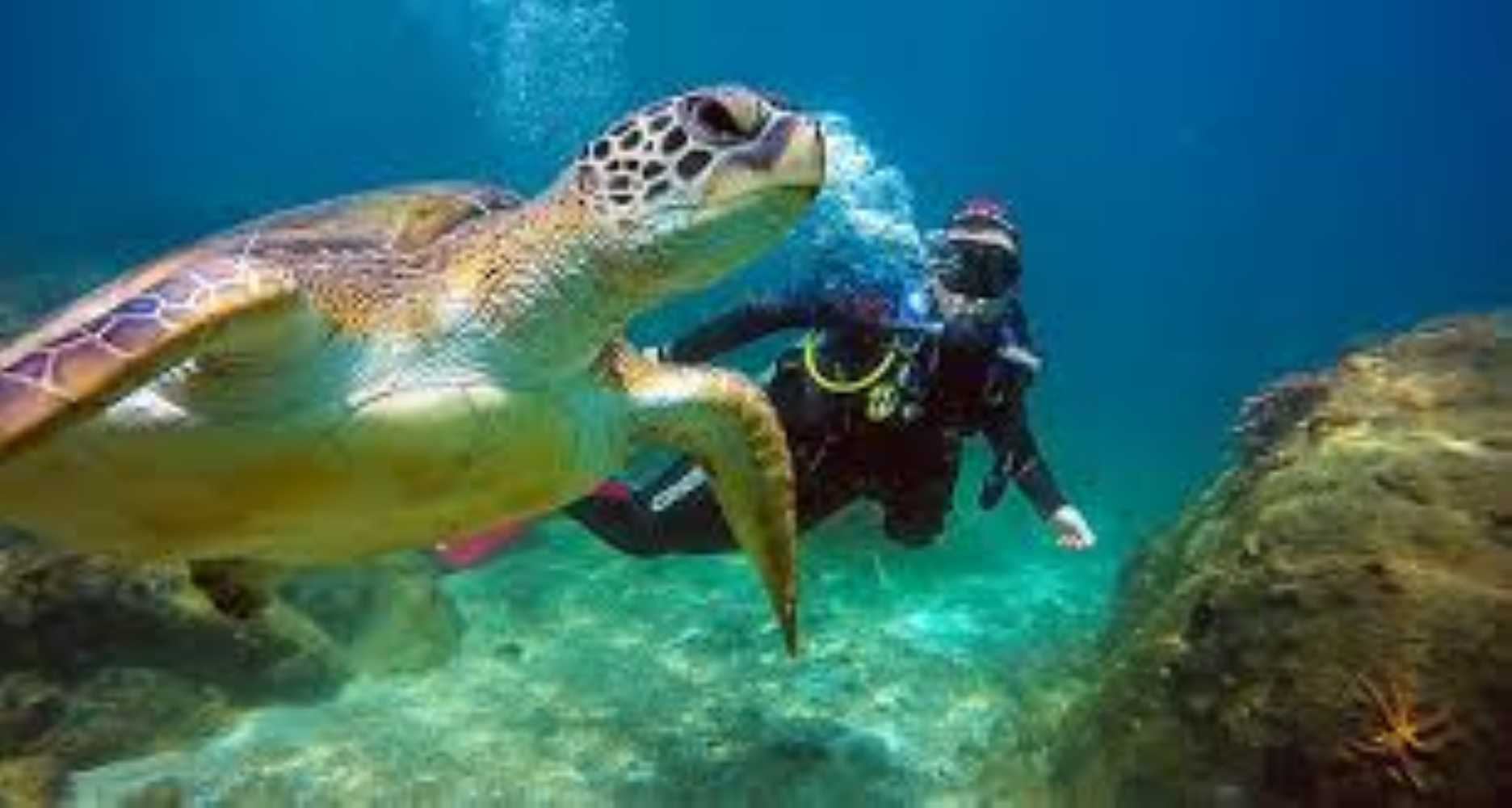 Primer buceo (Bautismo)  Ilha Grande