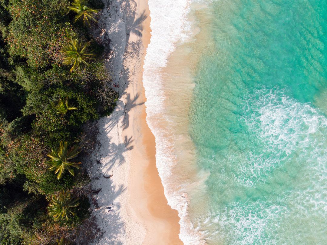 Expedicion por la Belleza de Lopes Mendes en la Isla Grande 